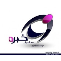 محاسبان خبره