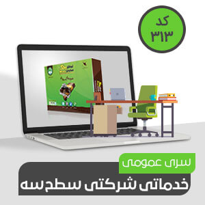 شرکتی ، خدماتی عمومی سطح سه (کد313)